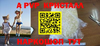 прущие грибы Нальчик