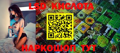прущие грибы Нальчик