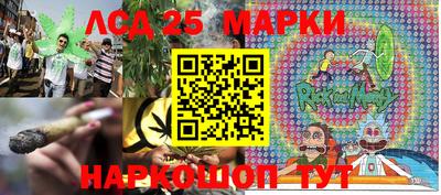 прущие грибы Нальчик