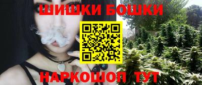 прущие грибы Нальчик