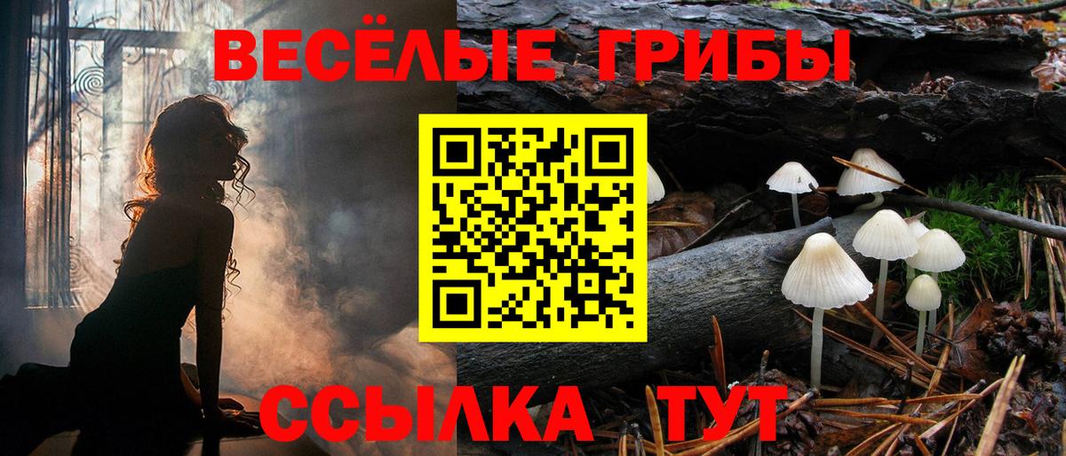 Галлюциногенные грибы GOLDEN TEACHER Серпухов